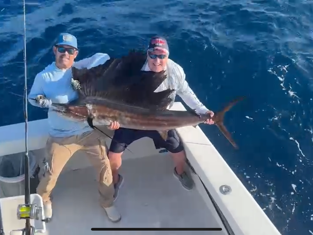 Listing image 1142085