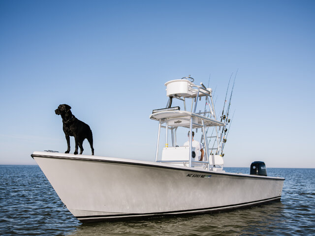 Listing image 1141835