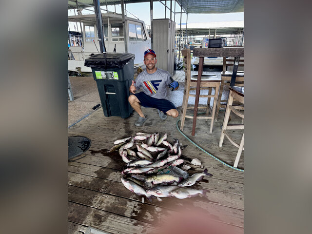 Listing image 1246625