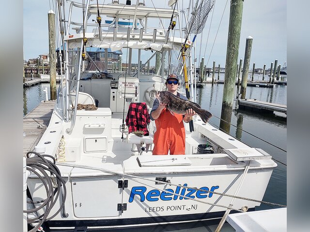 Listing image 1299625