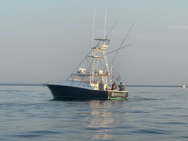 Charter Image