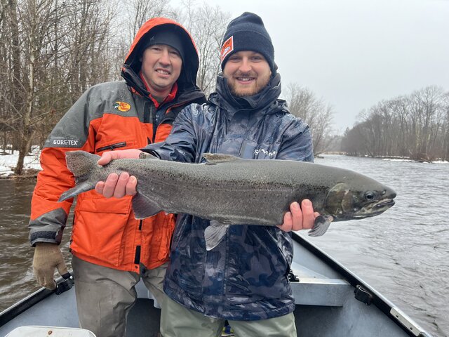 Listing image 1143584