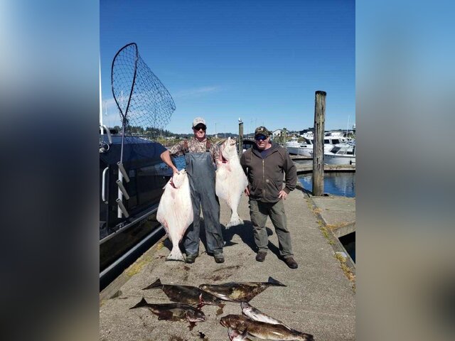 Listing image 1143903