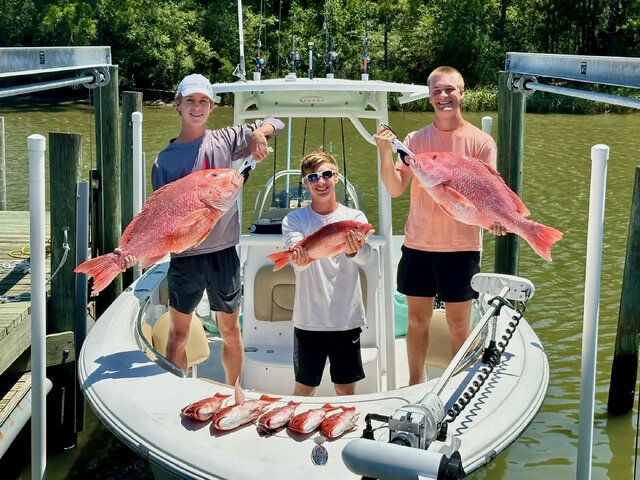 Listing image 1161320