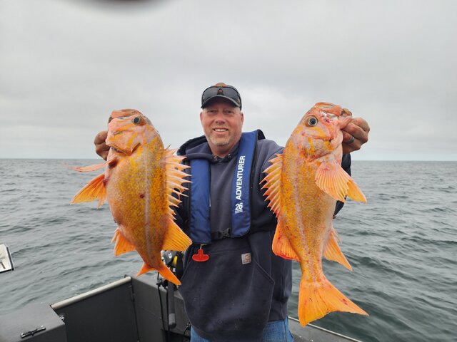 Listing image 1144485