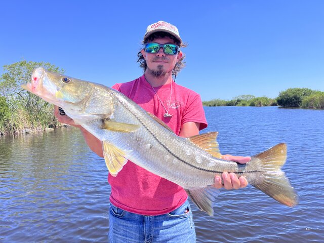 Listing image 1145376