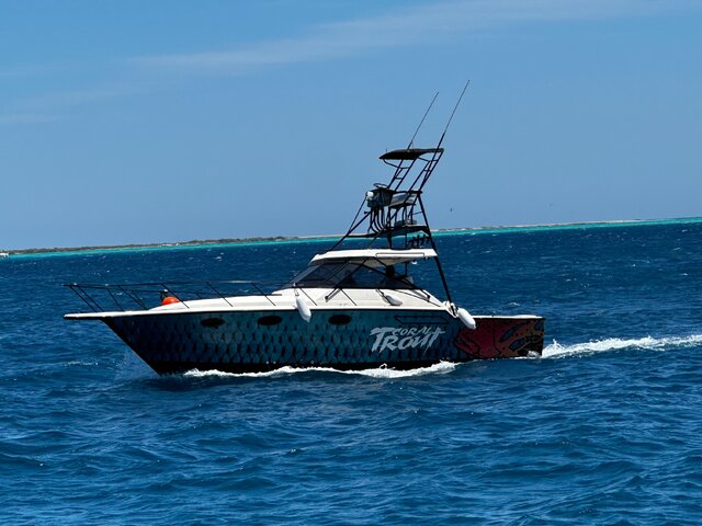 Listing image 1146109