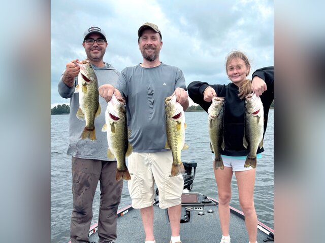 Listing image 1250848