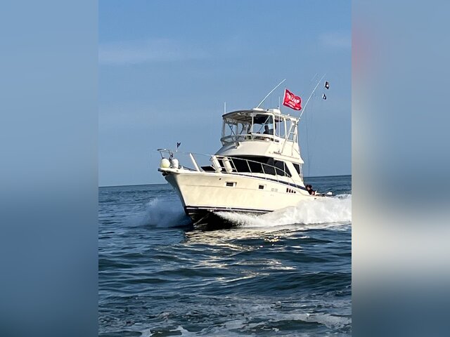 Listing image 1146159