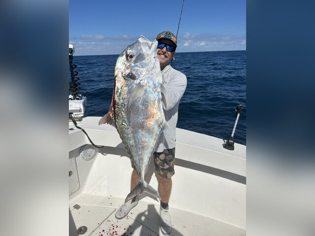 Listing image 1258934