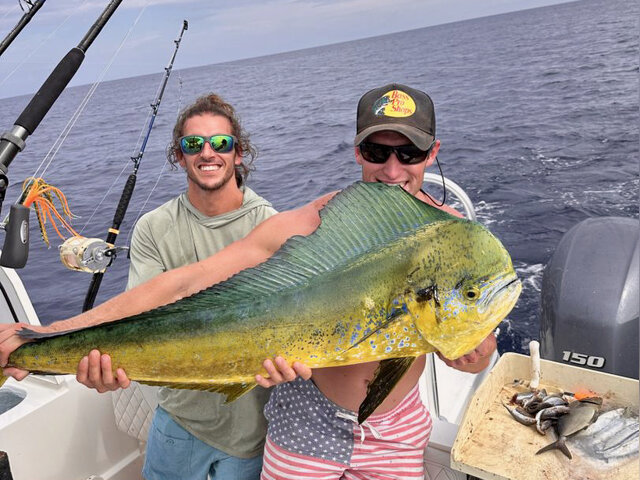 Listing image 1164808