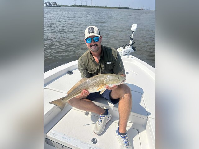 Listing image 1252762