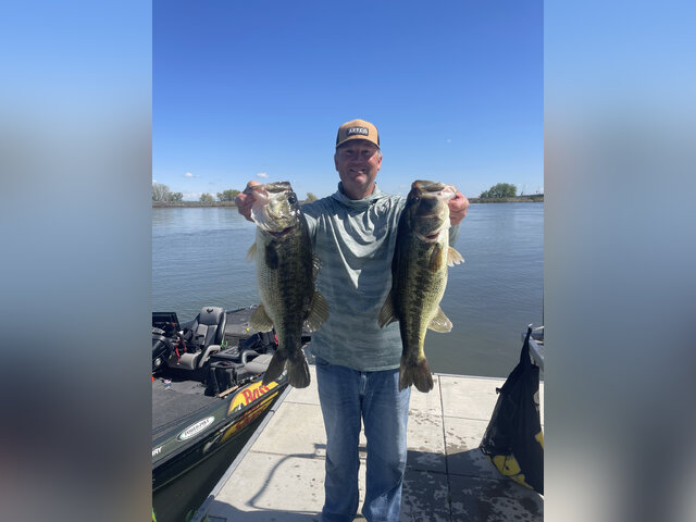 Listing image 1167545