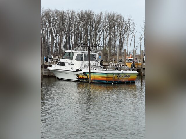 Listing image 1385070