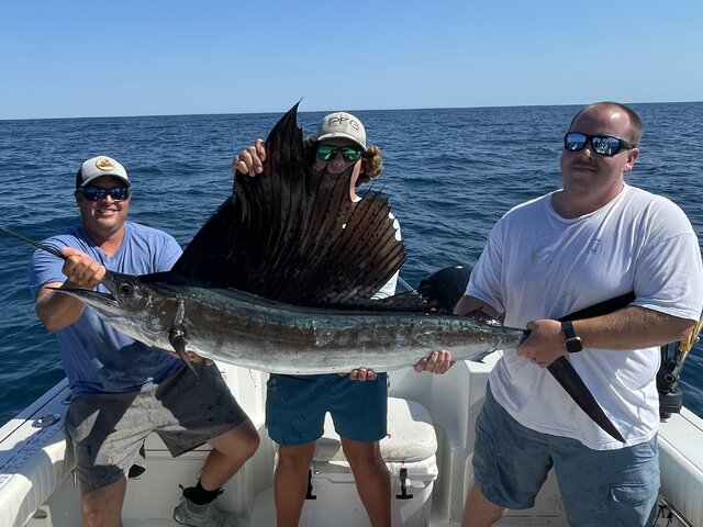 Listing image 1150198