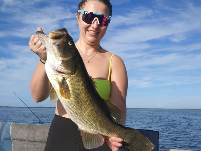 Listing image 1150258