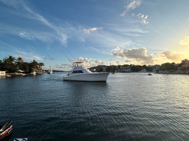 Listing image 1151138