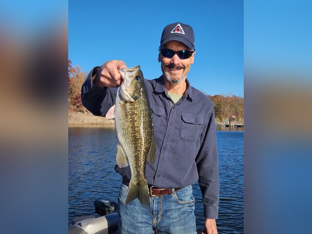 Listing image 1267533