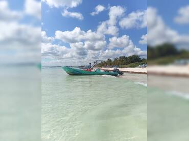 Paseos Albatros Tulum