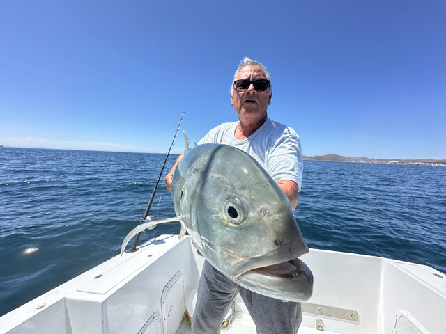 Listing image 1152547