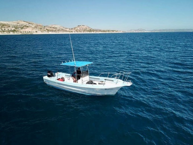 Listing image 1152910