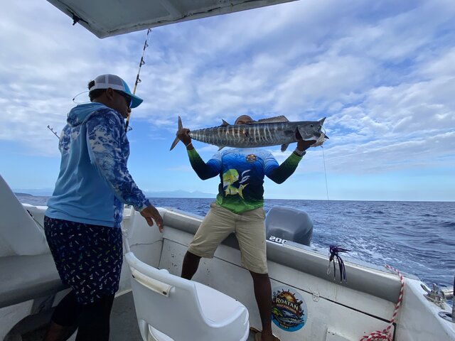 Listing image 1349873