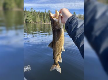 Ten Point Guide Service