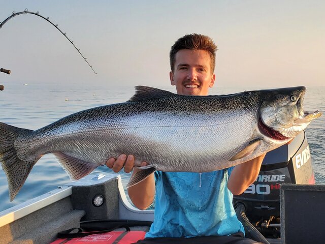 Listing image 1153352