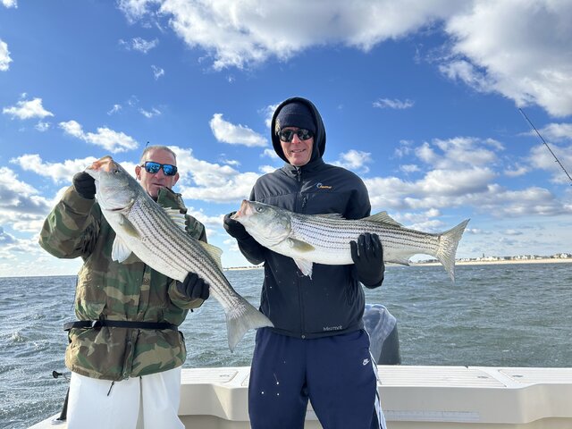 Listing image 1267172