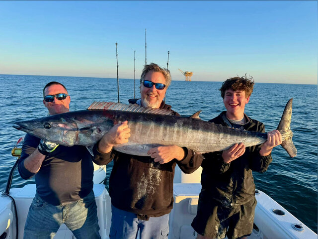 Listing image 1163099