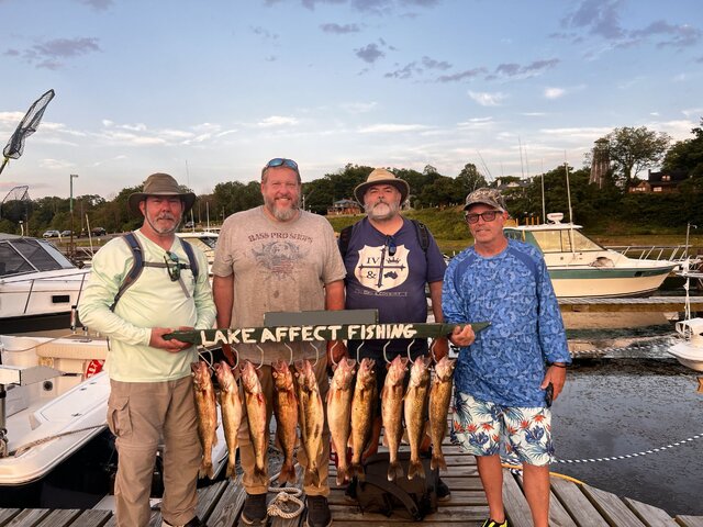 Listing image 1153901