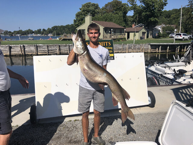 Listing image 1154121