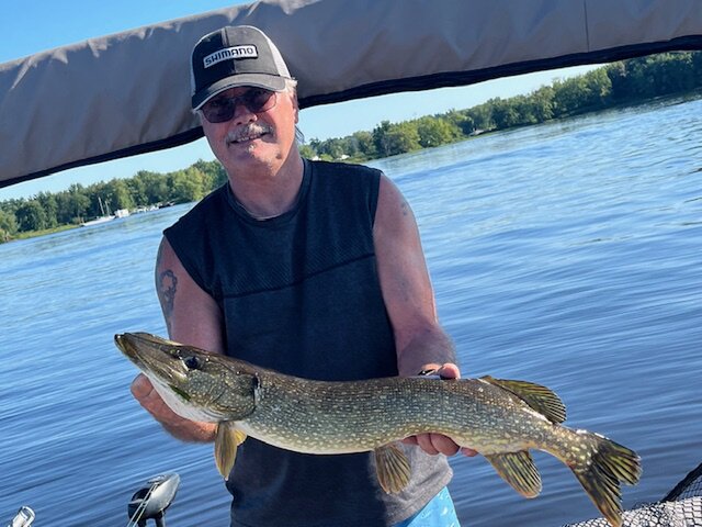 Listing image 1154242