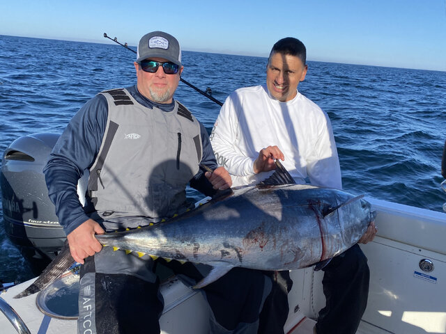 Listing image 1157968