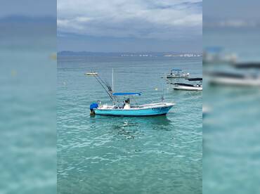 LITTLE JADE BOAT thumbnail