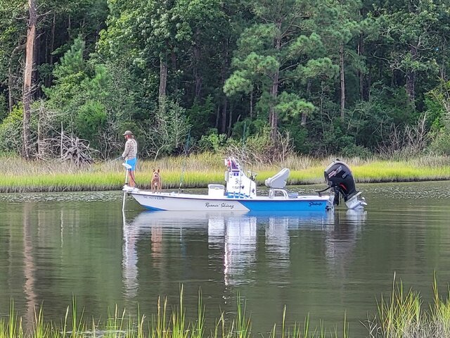 Listing image 1156413