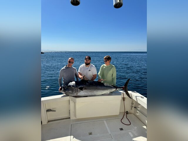 Listing image 1269641