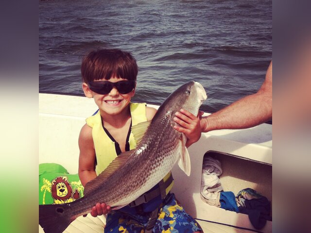 Listing image 1156749