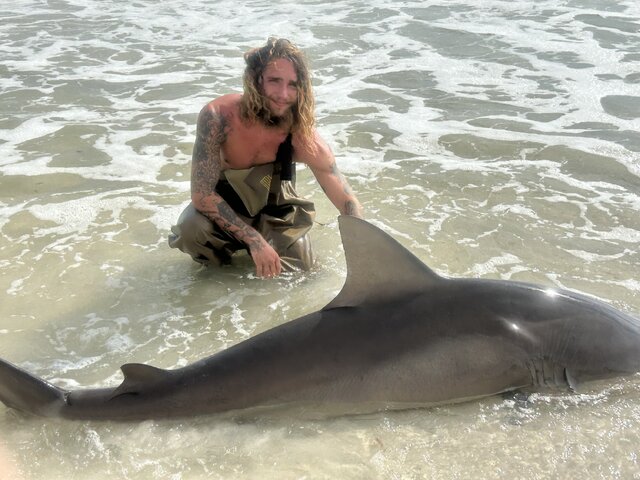 Listing image 1156880