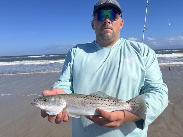 Listing image 1159705