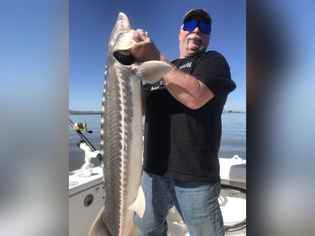 Listing image 1158132