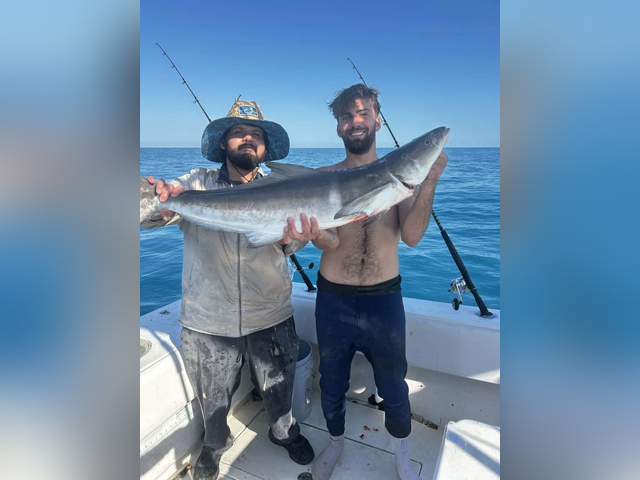 Listing image 1158938