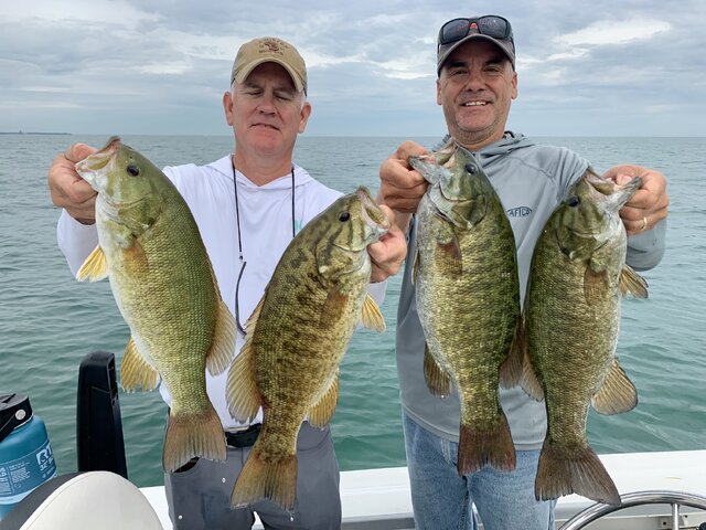 Listing image 1158333