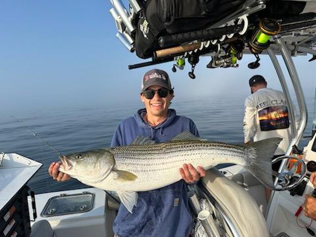 Listing image 1234389