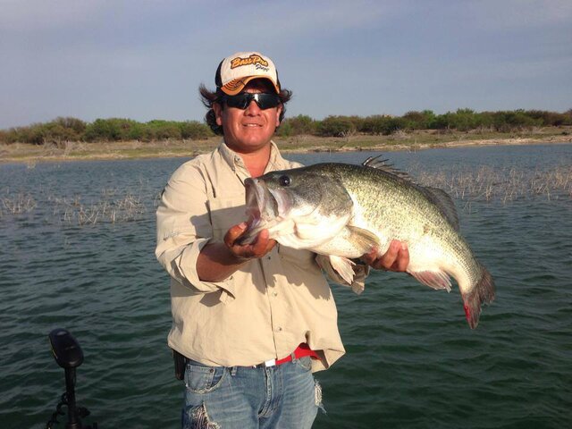 Listing image 1159115