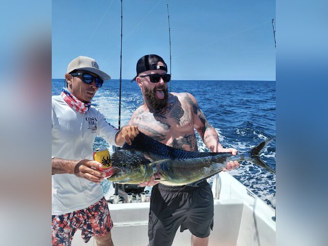 Listing image 1308881