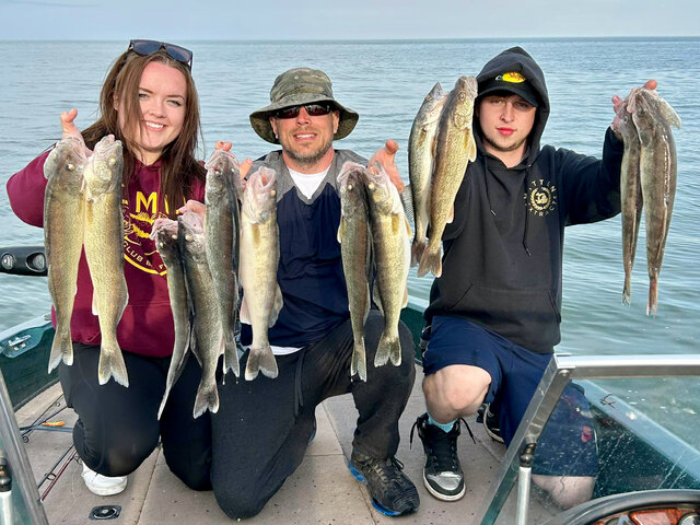 Listing image 1184686