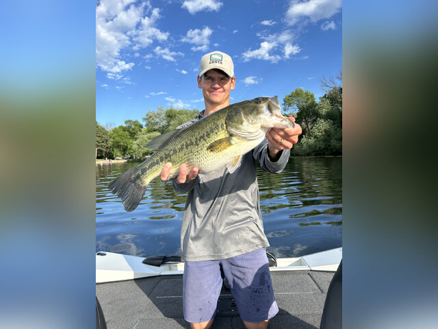 Listing image 1161910