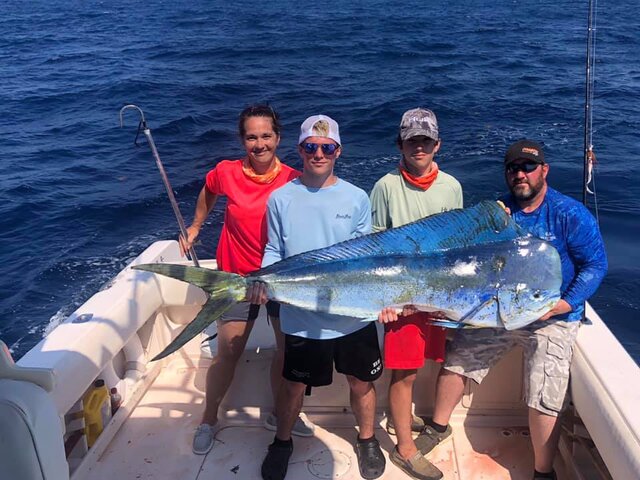 Listing image 573824