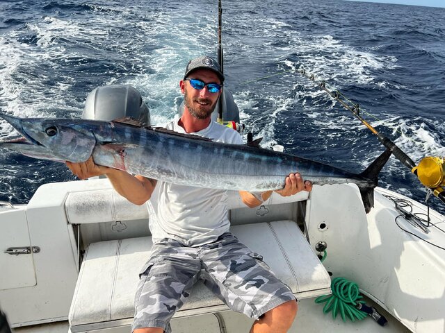 Listing image 1163636